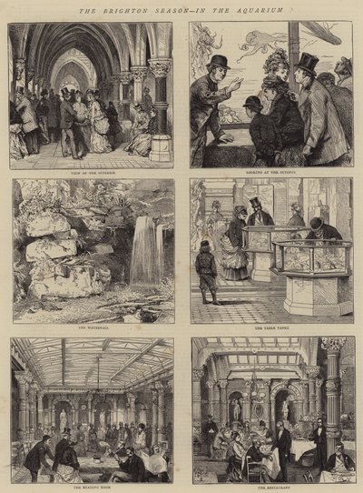 La temporada de Brighton, en el acuario de Joseph Nash